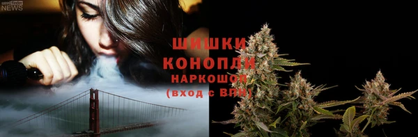 дживик Майский