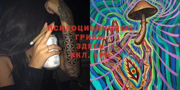 шишки Магадан