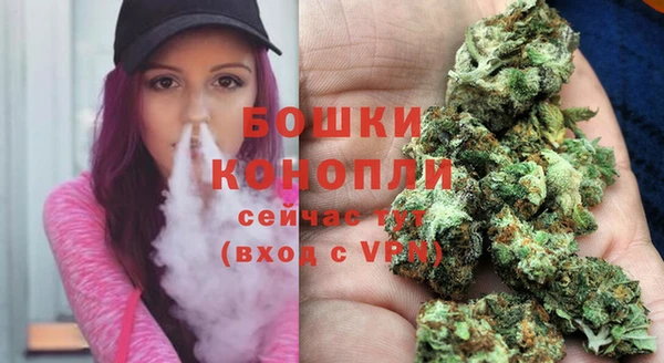 дживик Майский