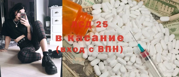 дживик Майский