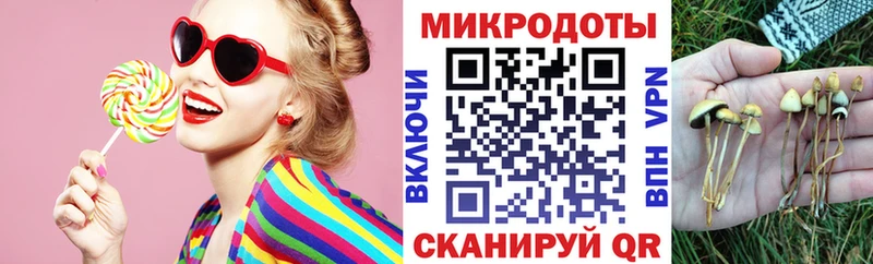 Псилоцибиновые грибы ЛСД  MEGA маркетплейс  Суворов  закладка 
